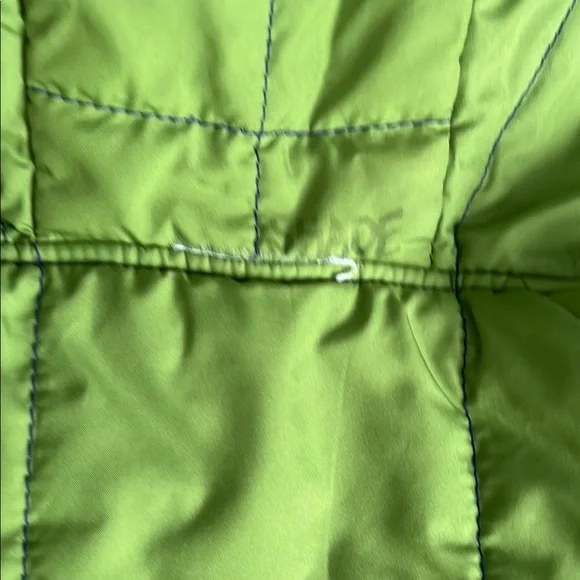 Patagonia Blue and Green Reversible Puffer Jacket with Hood